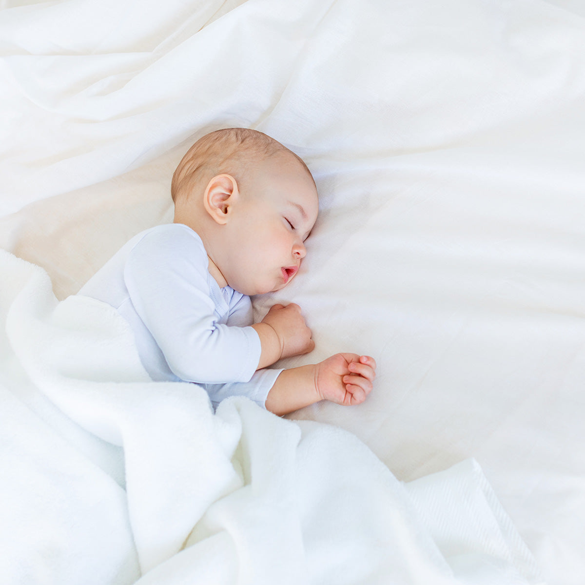 Snuggletime Percale Cotton Fitted Sheet